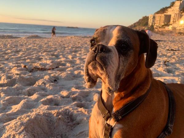 12/02/2015 – 19/06/2023